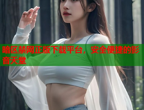 暗区禁网正版下载平台，安全便捷的影音天堂  第1张