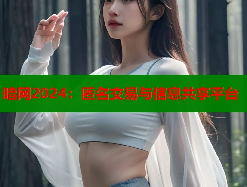暗网2024：匿名交易与信息共享平台  第2张