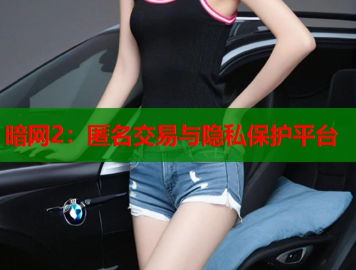 暗网2：匿名交易与隐私保护平台  第1张