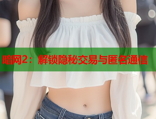 暗网2：解锁隐秘交易与匿名通信  第1张