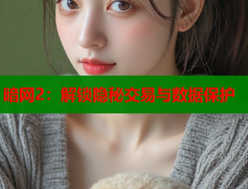 暗网2：解锁隐秘交易与数据保护  第1张