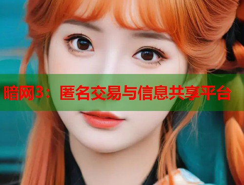 暗网3：匿名交易与信息共享平台  第1张