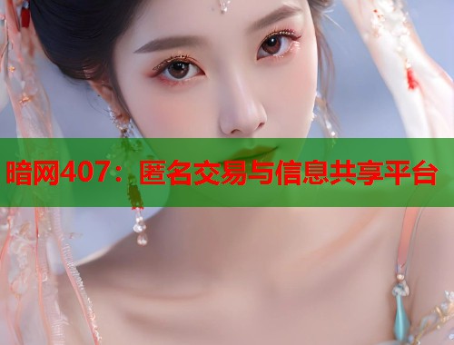 暗网407：匿名交易与信息共享平台  第1张