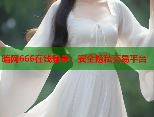暗网666在线登录：安全隐私交易平台  第1张