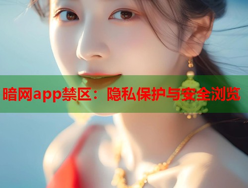 暗网app禁区：隐私保护与安全浏览  第1张