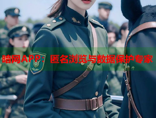 暗网APP：匿名浏览与数据保护专家  第1张