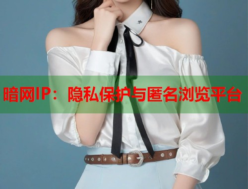 暗网IP：隐私保护与匿名浏览平台  第1张