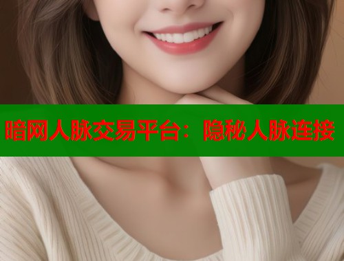 暗网人脉交易平台：隐秘人脉连接  第1张