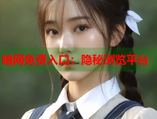 暗网免费入口：隐秘浏览平台  第1张