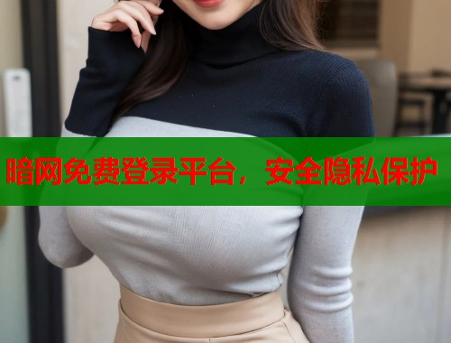 暗网免费登录平台，安全隐私保护  第1张