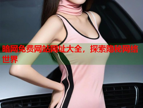 暗网免费网站网址大全，探索隐秘网络世界  第1张