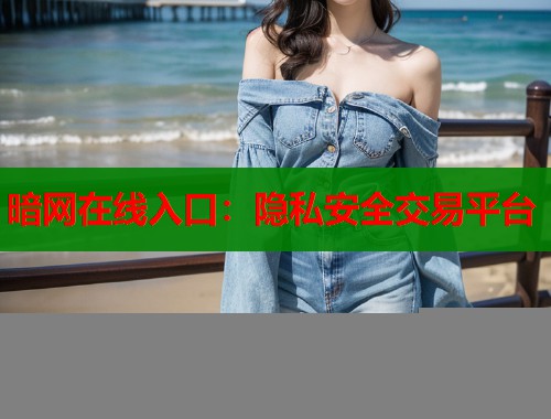 暗网在线入口：隐私安全交易平台  第1张