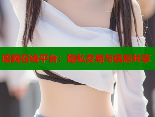 暗网在线平台：隐私交易与信息共享  第2张