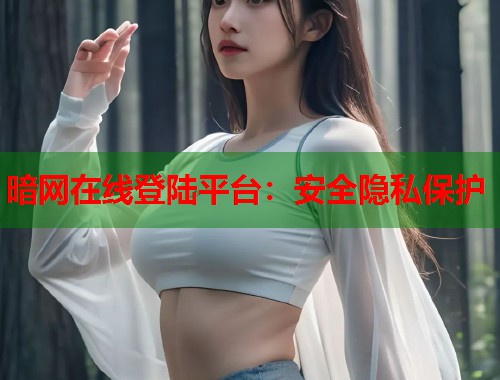 暗网在线登陆平台：安全隐私保护  第1张
