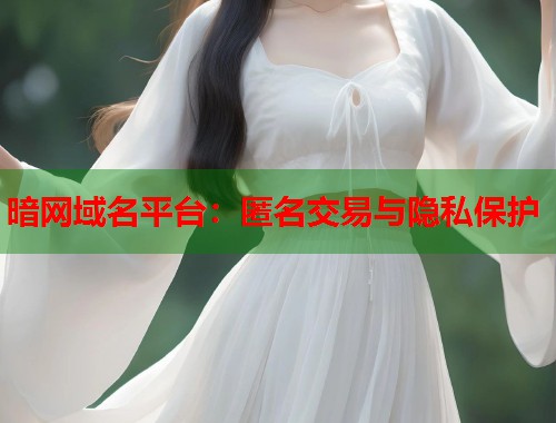 暗网域名平台：匿名交易与隐私保护  第1张