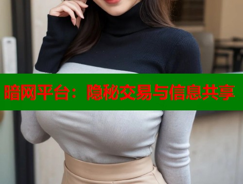 暗网平台：隐秘交易与信息共享  第1张