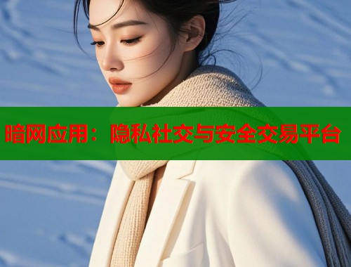暗网应用：隐私社交与安全交易平台  第1张