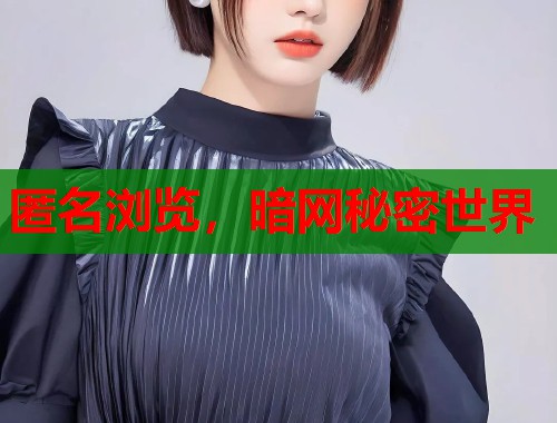 匿名浏览，暗网秘密世界  第1张