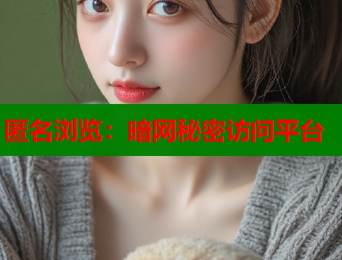 匿名浏览：暗网秘密访问平台  第1张
