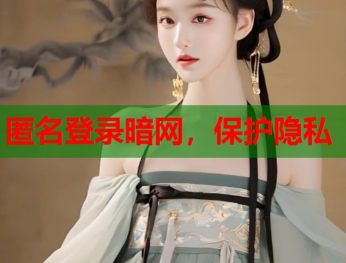 匿名登录暗网，保护隐私  第1张