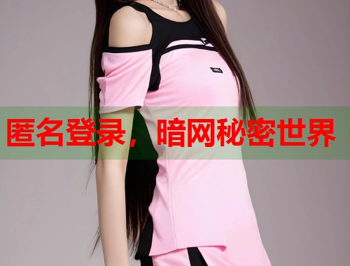匿名登录，暗网秘密世界  第1张