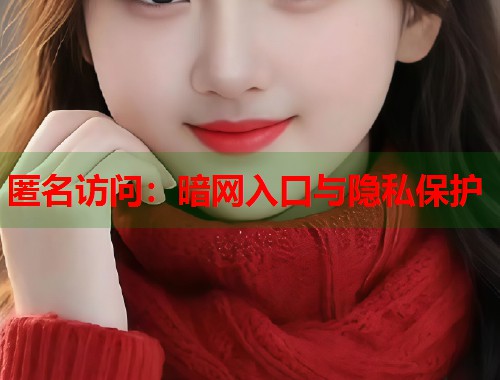 匿名访问：暗网入口与隐私保护  第1张