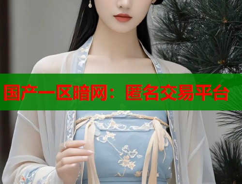 国产一区暗网：匿名交易平台  第1张