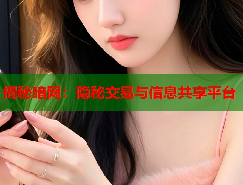 揭秘暗网：隐秘交易与信息共享平台  第1张