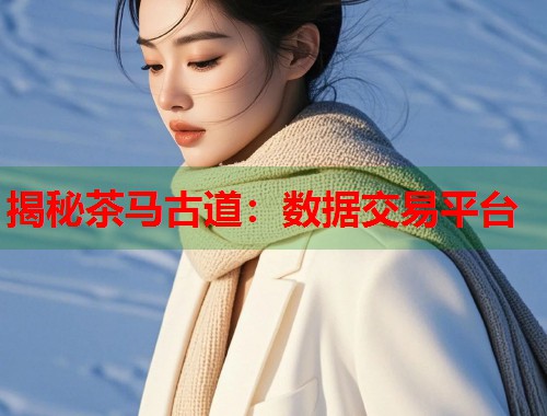 揭秘茶马古道：数据交易平台  第1张