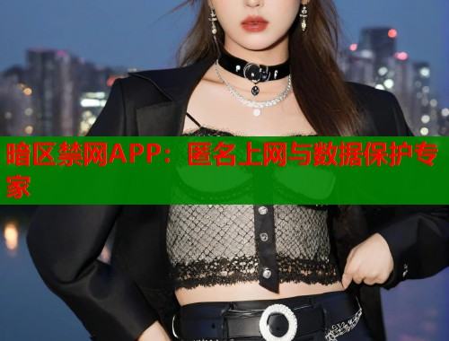 暗区禁网APP：匿名上网与数据保护专家  第1张