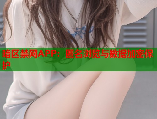 暗区禁网APP：匿名浏览与数据加密保护  第1张