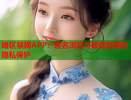 暗区禁网APP:匿名浏览与数据加密的隐私保护 第1张 暗区禁网APP:匿名浏览与数据加密的隐私保护 第1张