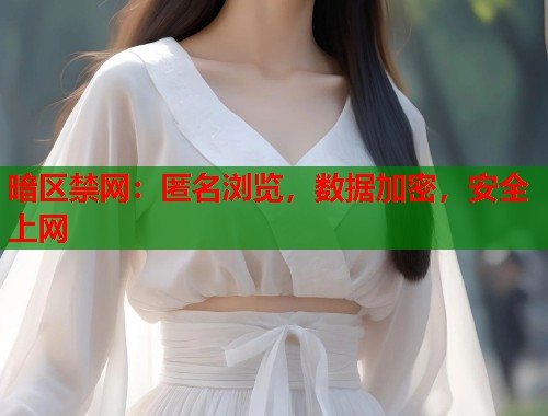 暗区禁网：匿名浏览，数据加密，安全上网  第1张