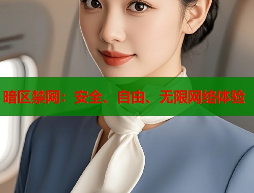 暗区禁网：安全、自由、无限网络体验  第1张