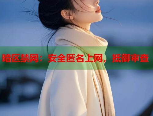 暗区禁网：安全匿名上网，抵御审查  第1张