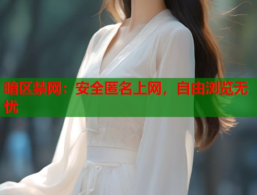暗区禁网：安全匿名上网，自由浏览无忧  第1张