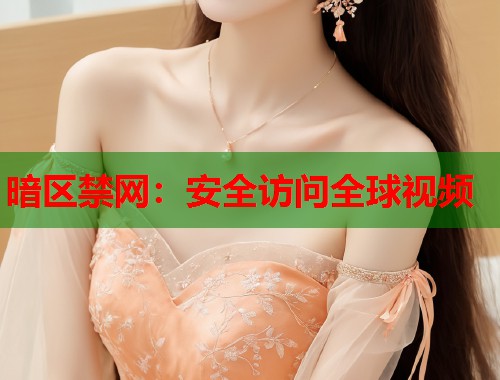 暗区禁网：安全访问全球视频  第2张