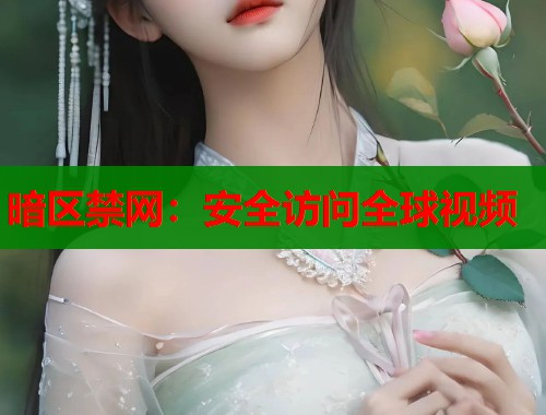 暗区禁网：安全访问全球视频  第1张