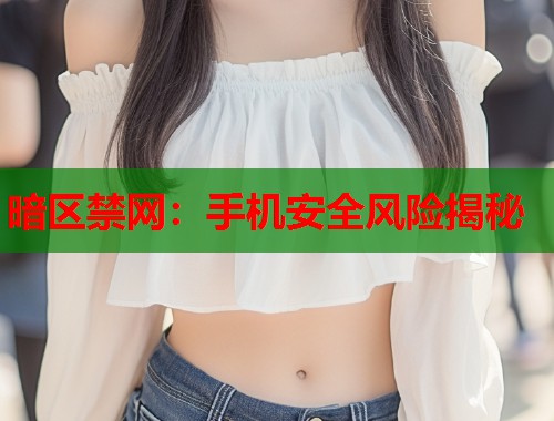 暗区禁网：手机安全风险揭秘  第1张
