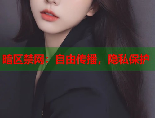 暗区禁网：自由传播，隐私保护  第1张