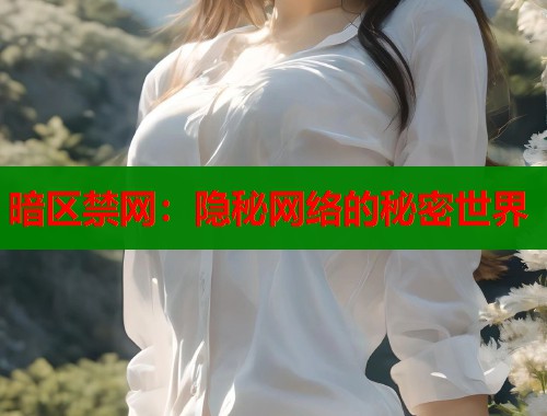 暗区禁网：隐秘网络的秘密世界  第2张