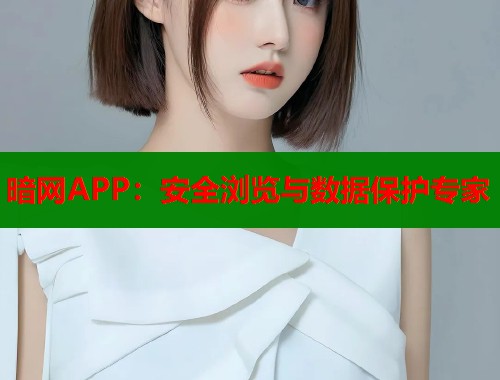 暗网APP：安全浏览与数据保护专家  第1张