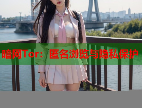 暗网Tor：匿名浏览与隐私保护  第1张