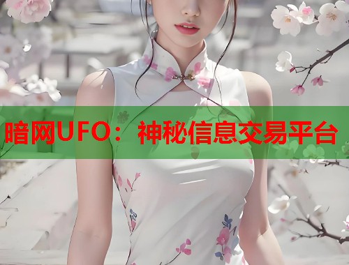 暗网UFO：神秘信息交易平台  第1张