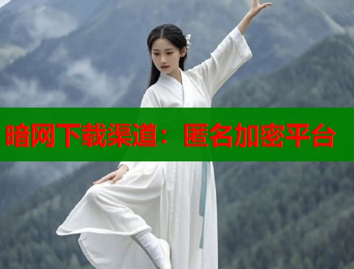 暗网下载渠道：匿名加密平台  第2张