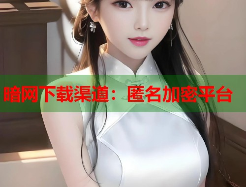 暗网下载渠道：匿名加密平台  第1张