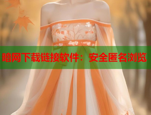 暗网下载链接软件：安全匿名浏览  第1张