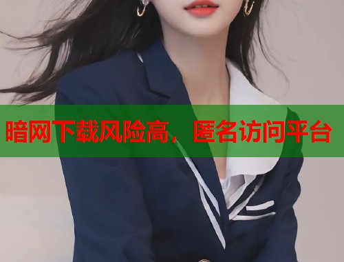 暗网下载风险高，匿名访问平台  第1张