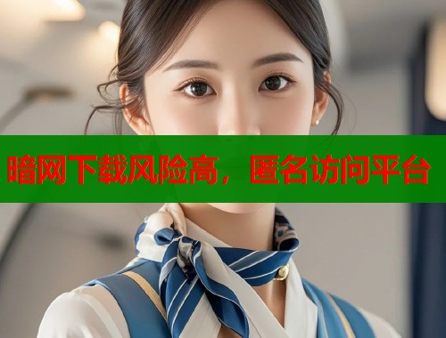 暗网下载风险高，匿名访问平台  第2张