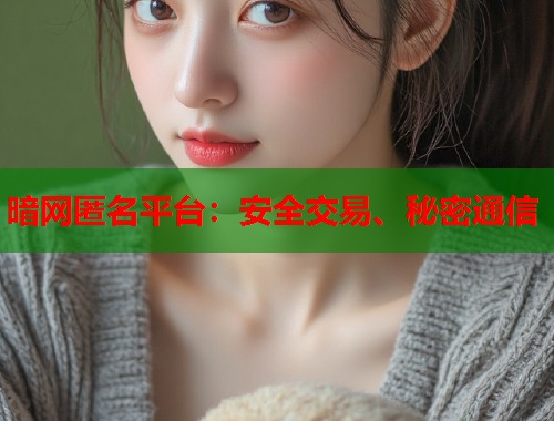 暗网匿名平台：安全交易、秘密通信  第1张